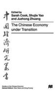 The Chinese Economy under Transition di Zhongguo Jing Ji Xue Hui, Sarah Cook, Shujie Yao, Juzhong Zhuang edito da Palgrave USA