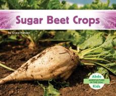 Sugar Beet Crops di Grace Hansen edito da ABDO KIDS JUMBO