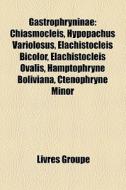Gastrophryninae: Chiasmocleis, Hypopachu di Livres Groupe edito da Books LLC, Wiki Series