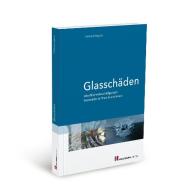 Glasschäden di Ekkehard Wagner edito da Holzmann Medien