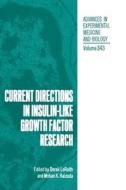 Current Directions in Insulin-Like Growth Factor Research di Derek Ed. Leroith, International Symposium On Insulin Igfs edito da SPRINGER NATURE