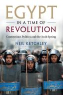 Egypt in a Time of Revolution di Neil Ketchley edito da Cambridge University Press