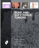 Bone and Soft Tissue Tumors di Therese J. Bocklage, Robert Quinn, Berndt Schmit, Claire Verschraegen edito da JP Medical Ltd