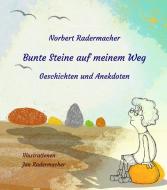 Bunte Steine auf meinem Weg di Norbert Radermacher edito da Edition Virgines