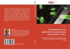 Développement et application de protocoles de synthèse in vitro di Alaa Abdine edito da Editions universitaires europeennes EUE