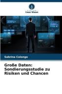 Große Daten: Sondierungsstudie zu Risiken und Chancen di Sabrina Colongo edito da Verlag Unser Wissen