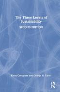 The Three Levels Of Sustainability di Elena Cavagnaro, George H. Curiel edito da Taylor & Francis Ltd