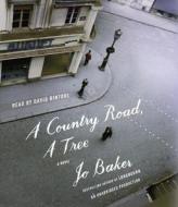 A Country Road, a Tree di Jo Baker edito da Random House Audio Publishing Group
