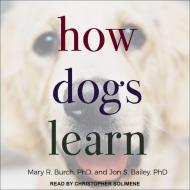 How Dogs Learn di Mary R. Burch, Jon S. Bailey edito da Tantor Audio