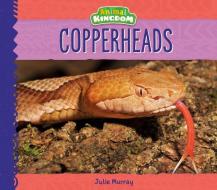 Copperheads di Julie Murray edito da BIG BUDDY BOOKS