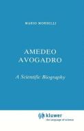 Amedeo Avogadro di M. Morselli edito da Springer Netherlands