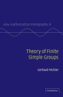 Theory Of Finite Simple Groups di Gerhard O. Michler edito da Cambridge University Press