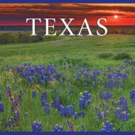Texas di Tanya Lloyd Kyi edito da WHITECAP AMER