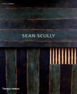 Sean Scully di David Carrier edito da Thames & Hudson Ltd