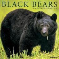 Black Bears Calendar edito da Willow Creek Press