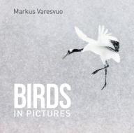 BIRDS IN PICTURES di Markus Varesvuo edito da New Holland Publishers