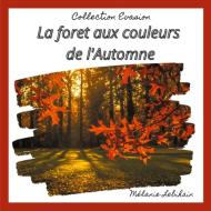 La forêt aux couleurs de l'Automne di Mélanie Lebihain edito da Books on Demand
