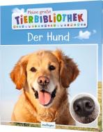 Meine große Tierbibliothek: Der Hund di Valérie Tracqui edito da Esslinger Verlag