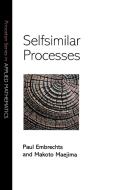 Selfsimilar Processes di Paul Embrechts edito da Princeton University Press