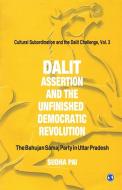 Dalit Assertion And The Unfinished Democratic Revolution di Sudha Pai edito da SAGE Publications Inc