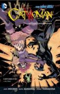Catwoman Vol. 4 Gotham Underground (the New 52) di Ann Nocenti edito da Dc Comics