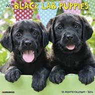 Black Lab Puppies Calendar edito da Willow Creek Press