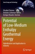 Potential of Low-Medium Enthalpy Geothermal Energy di Elisabet Palomo, Enrique Rosales-Asensio, Antonio Colmenar-Santos edito da Springer International Publishing