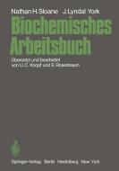 Biochemisches Arbeitsbuch di Nathan H. Sloane, John L. York edito da Springer Berlin Heidelberg