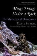 Many Things Under a Rock: The Mysteries of Octopuses di David Scheel edito da W W NORTON & CO