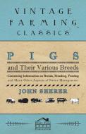 Pigs and Their Various Breeds - Containing Information on Breeds, Breeding, Feeding and Many Other Aspects of Swine Mana di John Sherer edito da Hicks Press