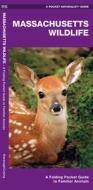 Massachusetts Wildlife: A Folding Pocket Guide to Familiar Species di James Kavanagh, Waterford Press edito da Waterford Press