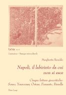 Napoli, il labirinto da cui non si esce di Margherita Ranaldo edito da Peter Lang