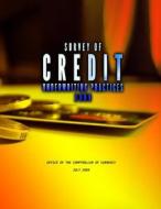 Survey of Credit Underwriting Practices 2009 di Office of the Comptroller of Currency edito da Createspace