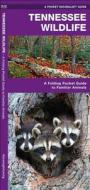 Tennessee Wildlife: A Folding Pocket Guide to Familiar Species di James Kavanagh, Waterford Press edito da Waterford Press