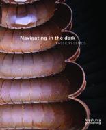 Navigating in the Dark: Kalliopi Lemos di Simon Critchley, Arthur Coleman Danto, Jim Fitzgerald edito da BLACK DOG ARCHITECTURE