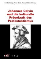 Johannes Calvin und die kulturelle Prägekraft des Protestantismus edito da Theologischer Verlag Ag