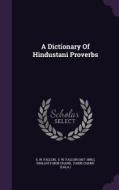A Dictionary Of Hindustani Proverbs di S W Fallon edito da Palala Press