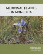 Medicinal Plants in Mongolia di Who Regional Office for the Western Paci edito da WORLD HEALTH ORGN