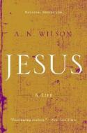 Jesus: A Life di A. N. Wilson edito da W W NORTON & CO