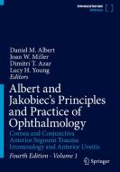 Albert and Jakobiec's Principles and Practice of Ophthalmology edito da Springer International Publishing