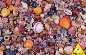 Sea Shells, 1000 Piece Puzzle edito da Piatnik