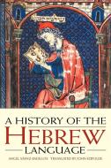 A History of the Hebrew Language di Angel Saenz-Badillos, Angel Senz-Badillos, Angel Soaenz-Badillos edito da Cambridge University Press