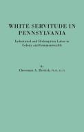 White Servitude in Pennsylvania. Indentured and Redemption Labor in Colony and Commonwealth di Cheesman A. Herrick edito da Clearfield