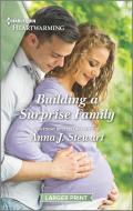 Building a Surprise Family: A Clean Romance di Anna J. Stewart edito da HARLEQUIN SALES CORP