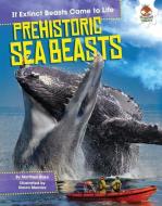 Prehistoric Sea Beasts di Matthew Rake edito da HUNGRY TOMATO