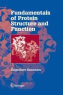 Fundamentals Of Protein Structure And Function di Engelbert Buxbaum edito da Springer-verlag New York Inc.
