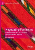 Negotiating Feminisms di Eilidh Ab Hall edito da Springer International Publishing