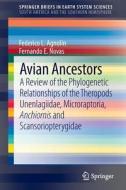 Avian Ancestors di Federico Agnolin, Fernando E. Novas edito da Springer Netherlands