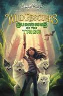 YouTube Tween Fantasy Adventure #1 di StacyPlays edito da HarperCollins Publishers Inc