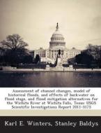 Assessment Of Channel Changes, Model Of Historical Floods, And Effects Of Backwater On Flood Stage, And Flood Mitigation Alternatives For The Wichita  di Karl E Winters, Stanley Baldys edito da Bibliogov